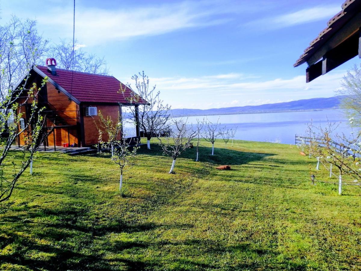 Willa Carobni Breg Golubac Zewnętrze zdjęcie