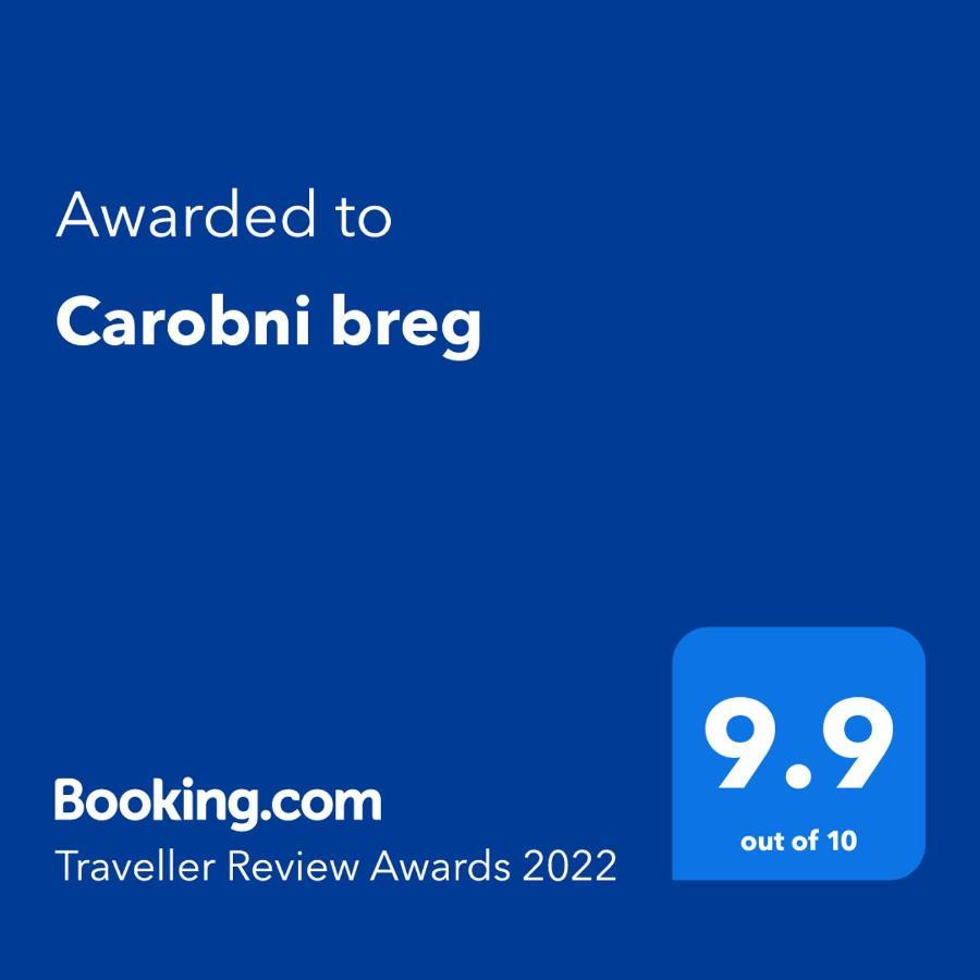 Willa Carobni Breg Golubac Zewnętrze zdjęcie