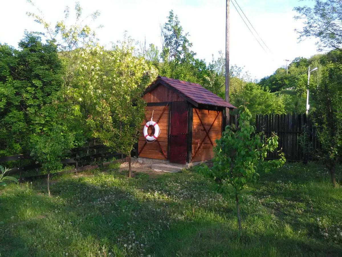Willa Carobni Breg Golubac Zewnętrze zdjęcie
