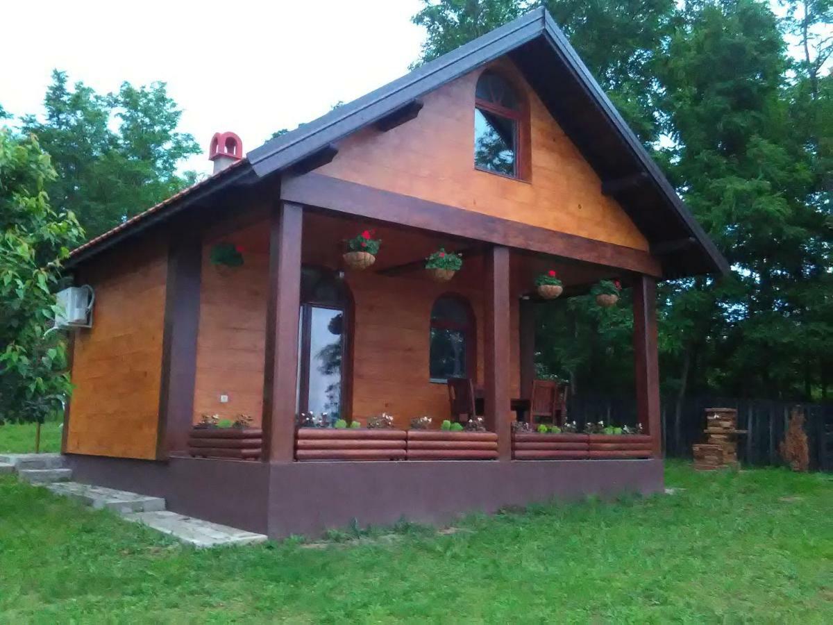 Willa Carobni Breg Golubac Zewnętrze zdjęcie