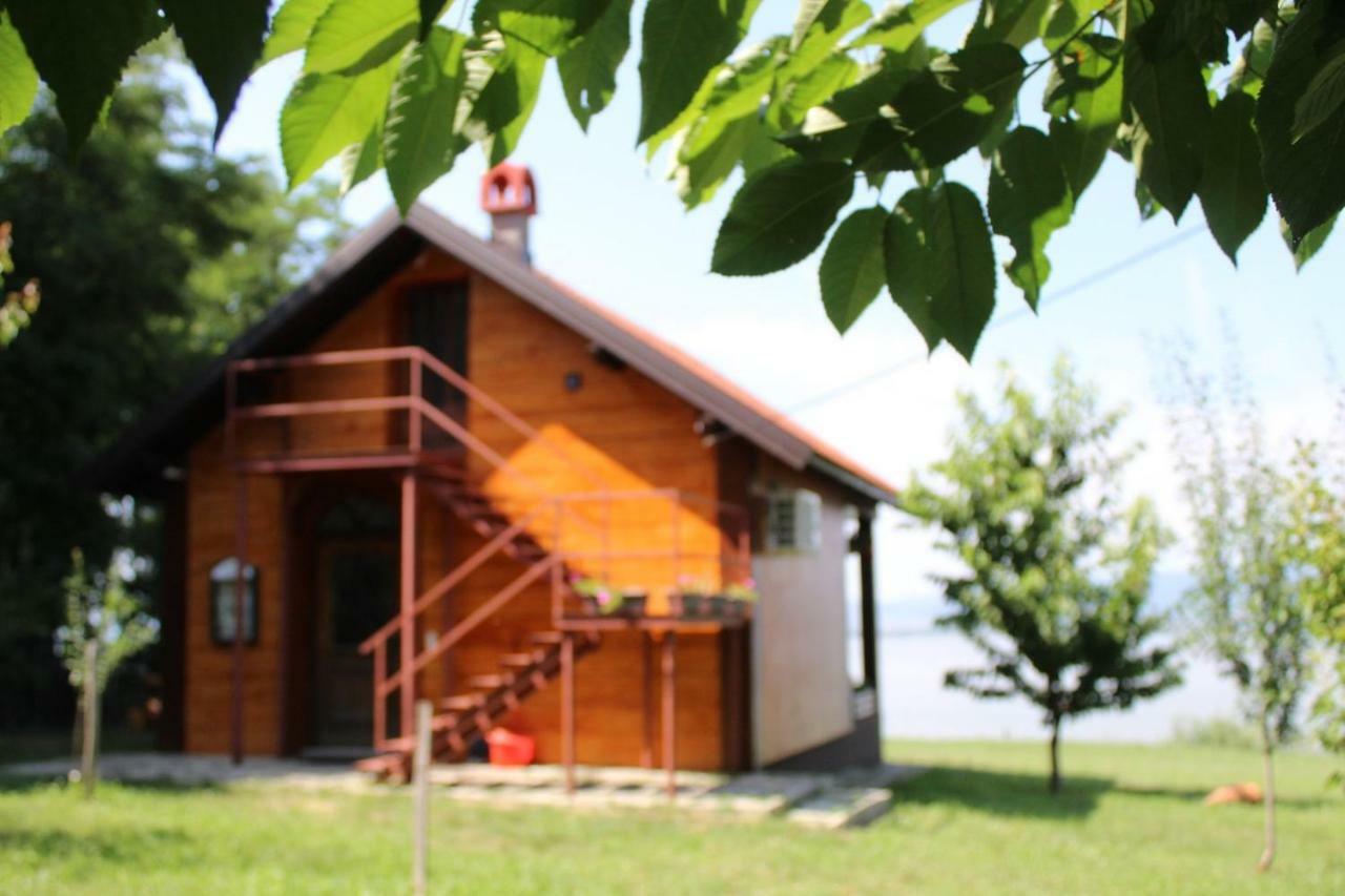 Willa Carobni Breg Golubac Zewnętrze zdjęcie