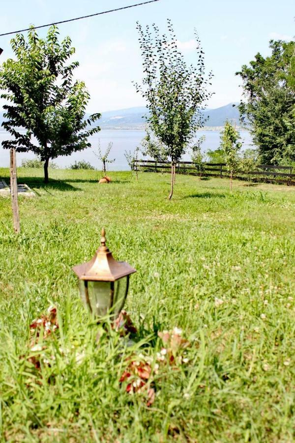 Willa Carobni Breg Golubac Zewnętrze zdjęcie